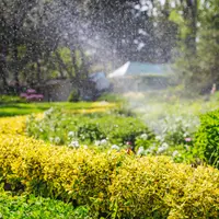 5 amenajari de vara pe care le poti face in gradina ta