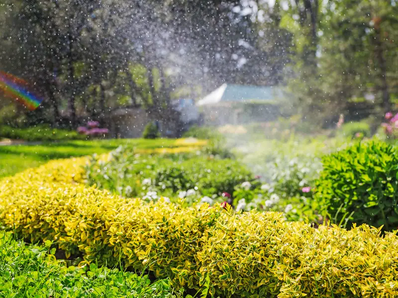 5 amenajari de vara pe care le poti face in gradina ta
