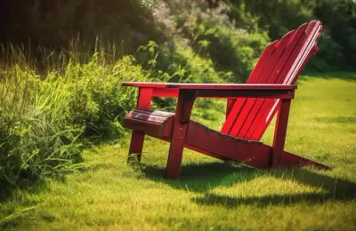 Choosing the Right Loungers for Your Garden