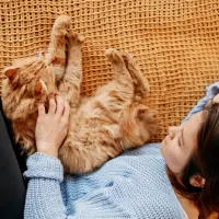 De ce iubim pisicile? 10 motive care le fac irezistibile