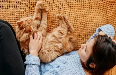 Why We Love Cats: 10 Reasons They're Irresistible