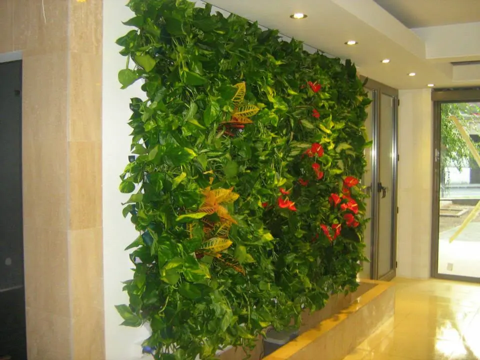 Peretii vegetali – solutia perfecta pentru armonizarea naturii cu spatiul urban