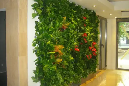 Peretii vegetali – solutia perfecta pentru armonizarea naturii cu spatiul urban