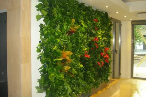 Peretii vegetali – solutia perfecta pentru armonizarea naturii cu spatiul urban
