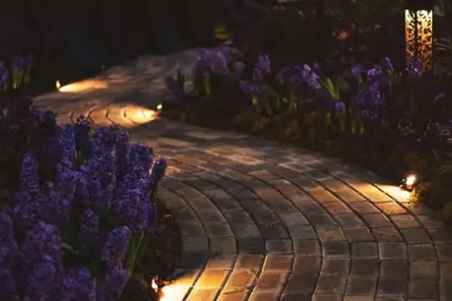 O căsuță mai luminoasă și plină de viață cu lămpi solare