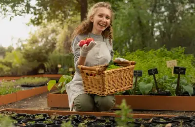Creating an Edible Garden in Your Yard: A Guide to Growing Vegetables, Fruits, and Herbs in Your Own Garden, Regardless of Size