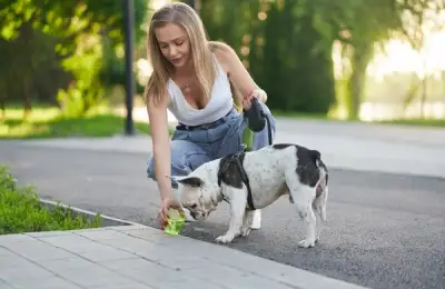 Pet Hydration During Heatwaves: Everything You Need to Know