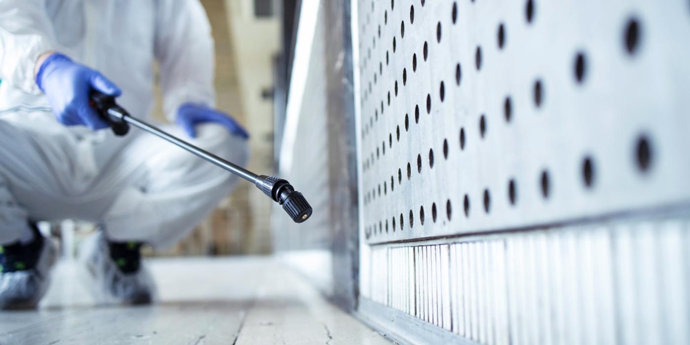 Diferența dintre dezinsecție, dezinfecție și deratizare