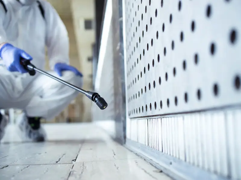 Cum îți pregătești spațiul comercial pentru controlul sanitar: checklist pentru dezinsecție și deratizare