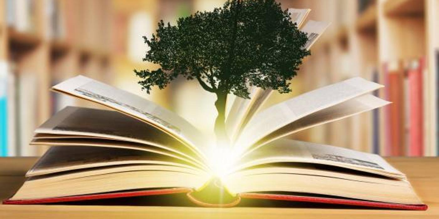 Cele mai inspirate idei pentru un design eco-friendly în amenajarea unei biblioteci