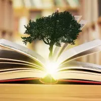 Cele mai inspirate idei pentru un design eco-friendly în amenajarea unei biblioteci