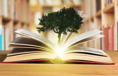 Cele mai inspirate idei pentru un design eco-friendly în amenajarea unei biblioteci