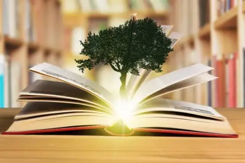 Cele mai inspirate idei pentru un design eco-friendly în amenajarea unei biblioteci