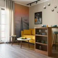 Energia tineretii in amenajarea unui apartament de 44 mp