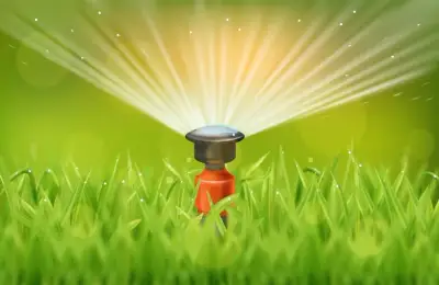 6 Effective Solutions for Spring Tree Spraying