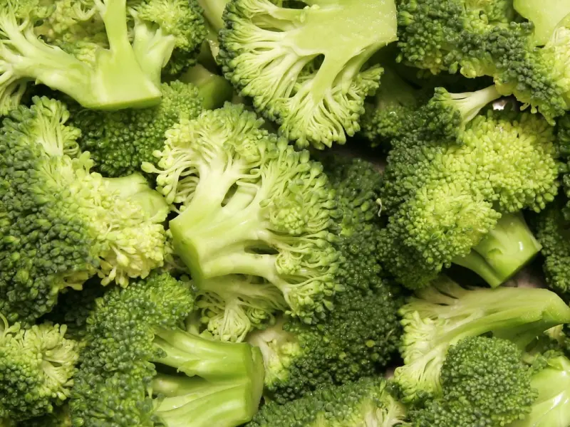 Cum sa plantezi broccoli? (VIDEO)