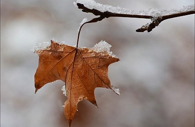 Prognoza meteo, 11 decembrie. Vreme instabilă pe final de săptămână. Ploile pun stăpânire pe mai multe județe