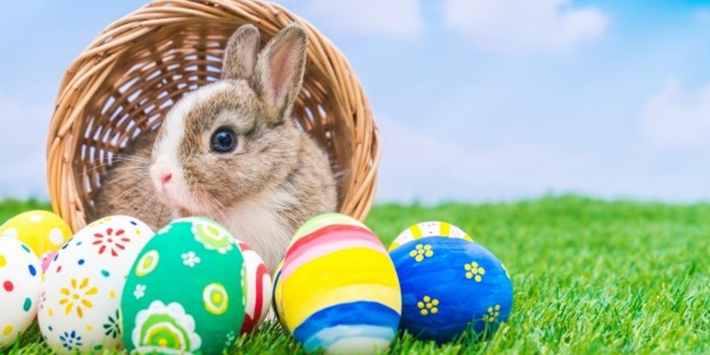 Cele mai populare simboluri pascale şi semnificaţia acestora