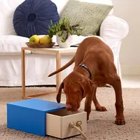 Cum sa faci o jucarie pentru catelul tau?