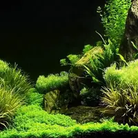 Cum se monteaza un acvariu ghid de instalare