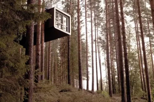 Treehotel, Harads, Suedia: povestea arhitecturii sale ciudate