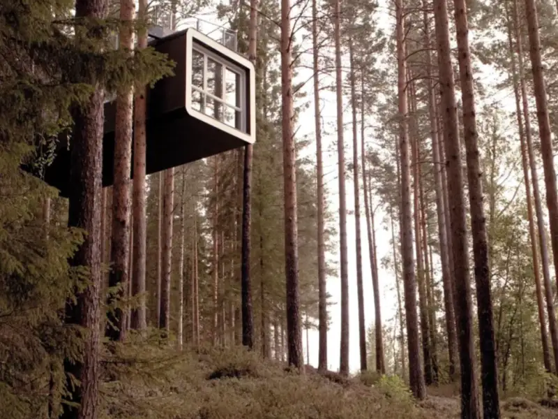 Treehotel, Harads, Suedia: povestea arhitecturii sale ciudate