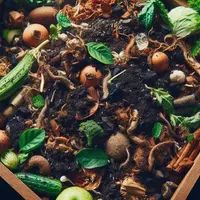 Cum să-ți faci propriul compost acasă: Un ghid pas cu pas