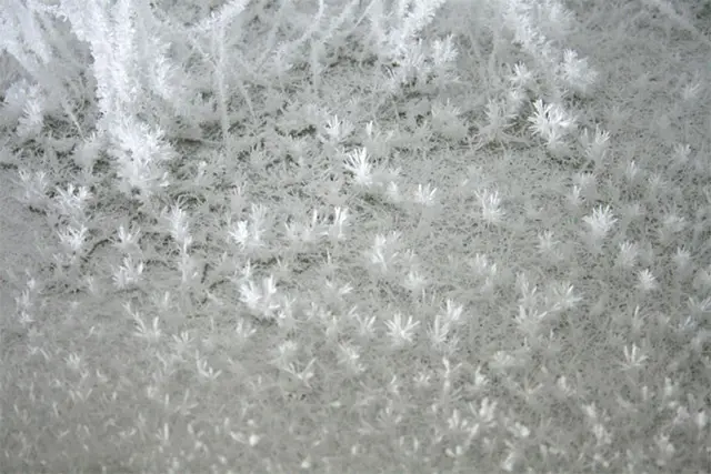 Uimitoarea instalatie din crengi de copaci “cristalizati”, creatie Onishi Yasuaki