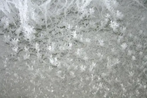 Uimitoarea instalatie din crengi de copaci “cristalizati”, creatie Onishi Yasuaki