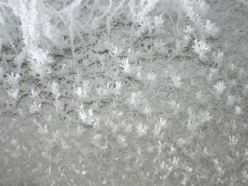 Uimitoarea instalatie din crengi de copaci “cristalizati”, creatie Onishi Yasuaki