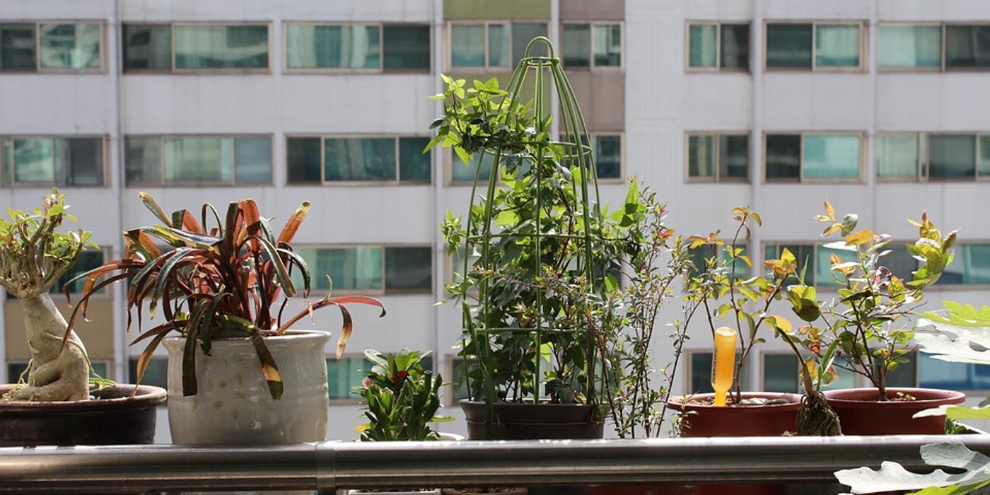 România: prețul mediu al apartamentelor a crescut cu 1% într-o lună