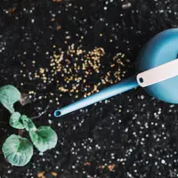 Ghid complet: îngrășăminte pentru plante de interior sănătoase și viguroase