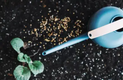 Ghid complet: îngrășăminte pentru plante de interior sănătoase și viguroase