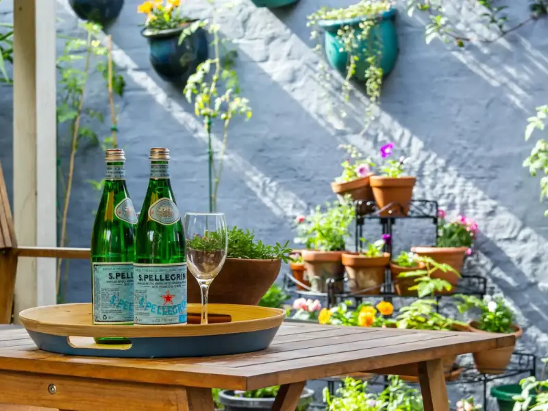 Trăiește verde: sfaturi simple pentru o casă ecologică