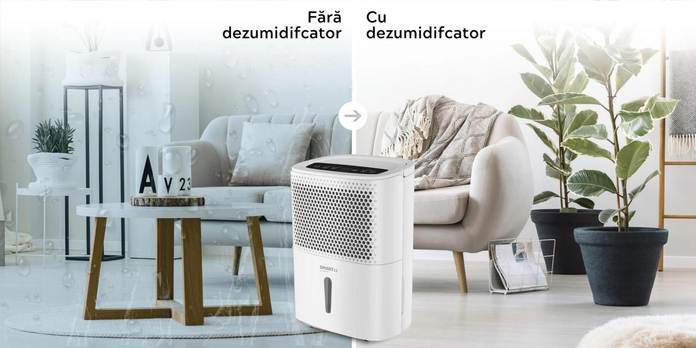 Cum alegi dezumidificatorul potrivit pentru acasă?