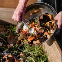 Compost: resturile vegetale pot deveni îngrășământ natural pentru plante