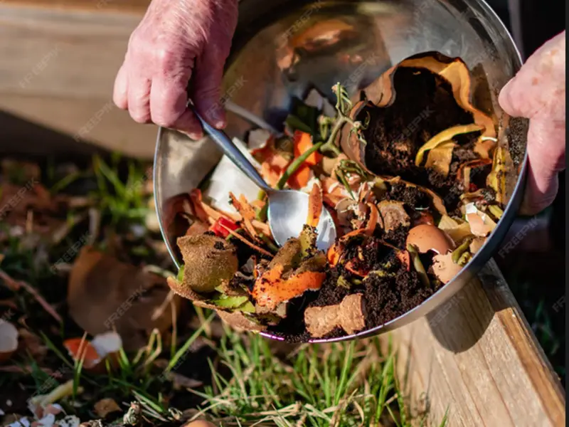 Compost: resturile vegetale pot deveni îngrășământ natural pentru plante