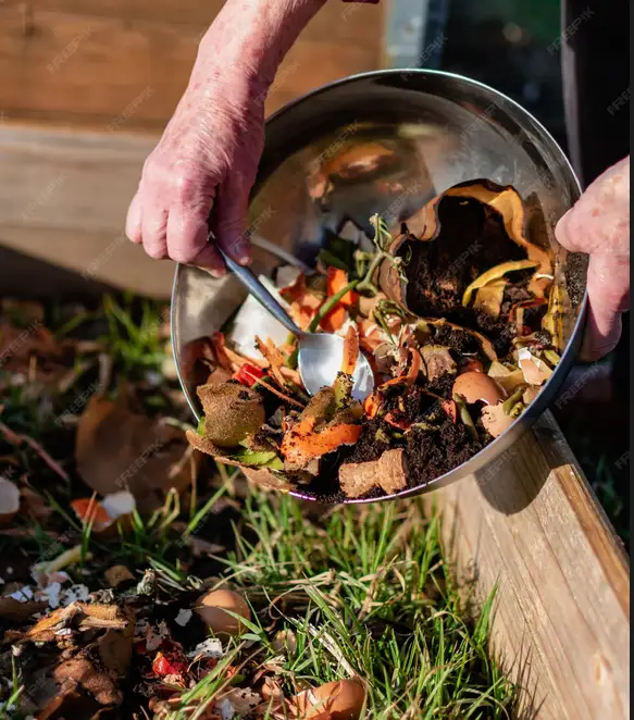 Compost: Vegetable Waste Can Become Natural Fertilizer for Plants