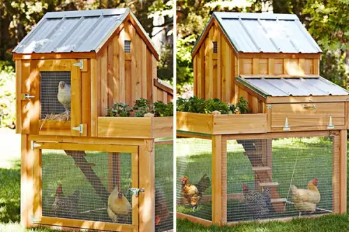 Un design inedit pentru cotetul gainilor tale