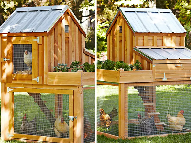 Un design inedit pentru cotetul gainilor tale