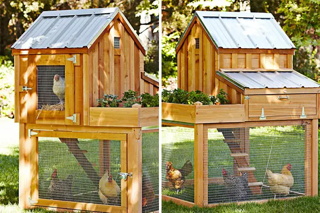 Un design inedit pentru cotetul gainilor tale