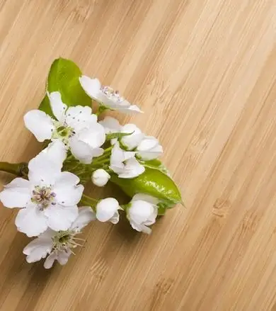 Podele ecologice din lemn de bambus sau pluta