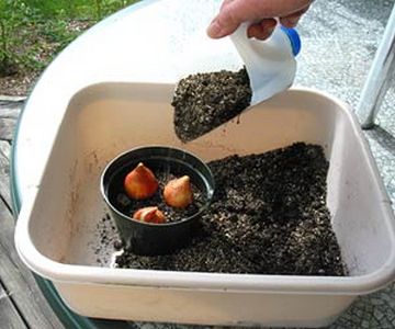 Unelte de gradinarit cu bani putini