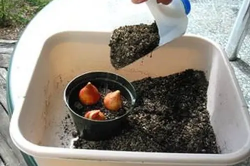 Unelte de gradinarit cu bani putini