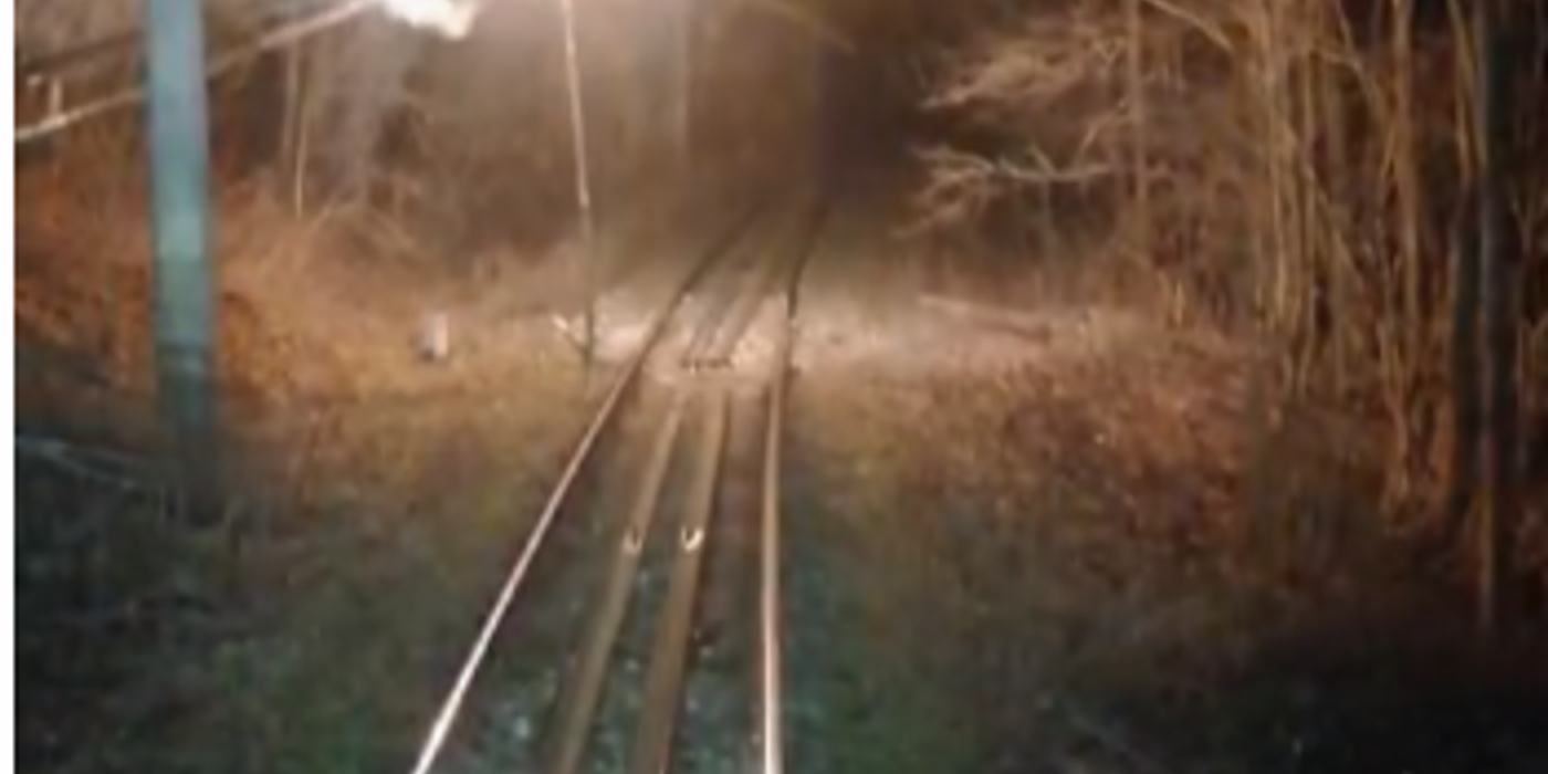 CFR: Circulaţie feroviară oprită temporar între staţiile Lunca Bradului şi Răstoliţa, pentru îndepărtarea unui copac căzut pe firul de contact / Două trenuri oprite în zonă VIDEO