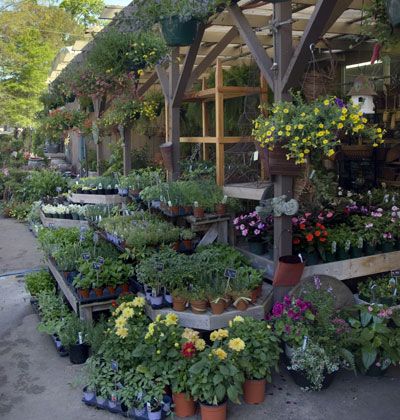 Amenajarea gradinii-sfaturi pentru incepatori