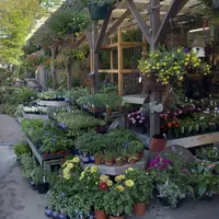 Amenajarea gradinii-sfaturi pentru incepatori