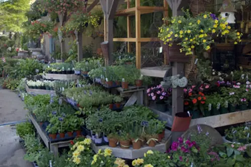 Amenajarea gradinii-sfaturi pentru incepatori