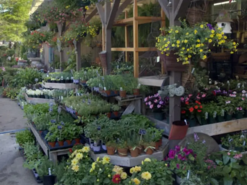 Amenajarea gradinii-sfaturi pentru incepatori