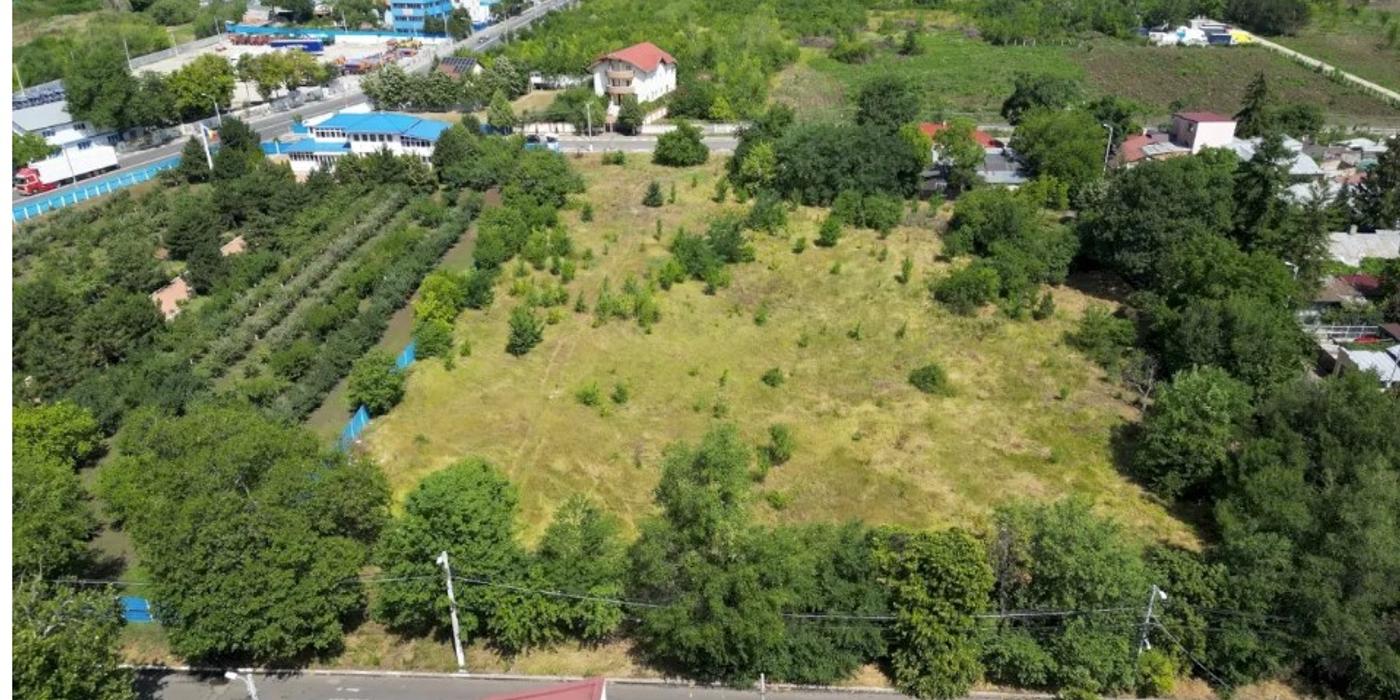 În Sectorul 2 vor fi amenajate 5 noi grădini urbane. Care sunt zonele?